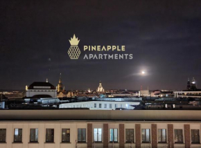 Pineapple Apartments Dresden Zwinger V